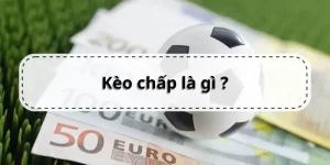 https://momentic.me/