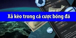 https://momentic.me/